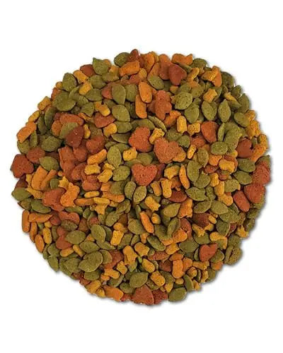 Vibrant 18lb Higgins Macaw InTune Pellets, showcasing colorful, natural bird food pellets packed with fruits like bananas and berries.