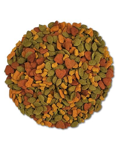 Vibrant 18lb Higgins Macaw InTune Pellets, showcasing colorful, natural bird food pellets packed with fruits like bananas and berries.