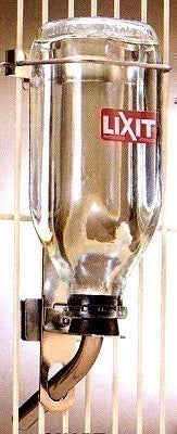 Clear 16oz Lixit glass water bottle for birds and small pets, featuring a stainless steel tube and no-leak seal design.