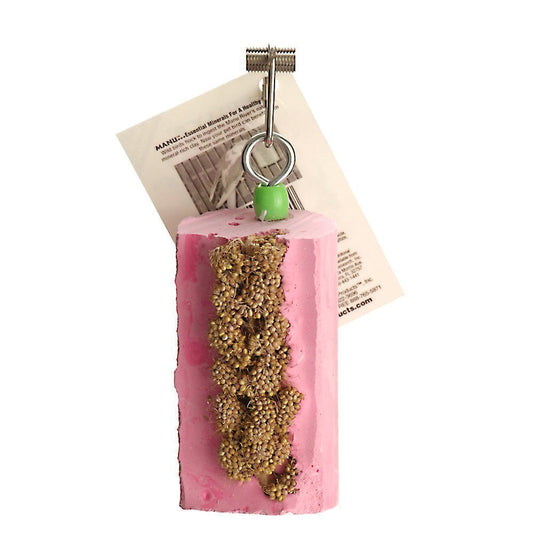 Colorful Millet Mini Log Cactus Snack by Polly's, a 4x2 inch bird chew packed with essential Manu minerals for health.