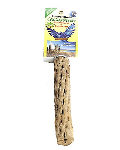 Polly's Md Cholla Cactus Perch, a natural, sun-dried wood perch with an irregular shape, perfect for birds like African Greys.