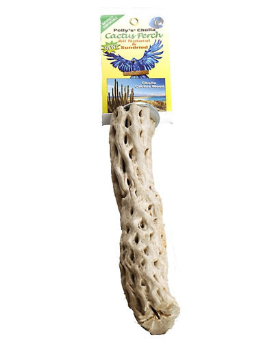 Polly's Lg Cholla Cactus Perch showcasing a natural, sun-dried wood texture with irregular shapes for bird exercise.