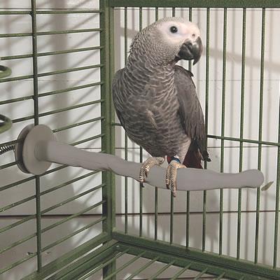 Cozy Medium Thermo Perch-K&H, a 13-inch heated bird perch designed for smaller cockatoos and similar-sized birds, offering gentle, safe warmth.