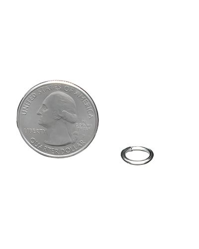 Close-up of a 1/4" split ring, a small, durable metal hardware piece for bird toys, showcasing its 3/8" diameter and shiny finish.