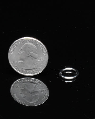 Close-up of a 3/8" split ring, a small, durable metal hardware piece for bird toys, showcasing its 1/2" diameter and sleek design.