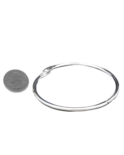Shiny nickel-plated 3-inch key ring, perfect for crafting durable bird toys, with a sleek, circular design for easy use.