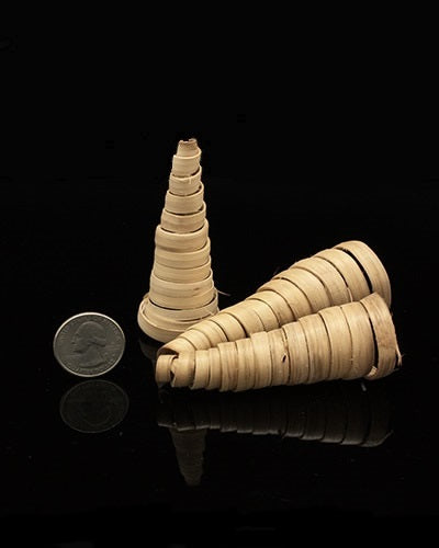 Vibrant Curly Cones 3pk, natural bird toy parts, measuring 3.5 inches long and 1.25 inches high, perfect for playful pets.