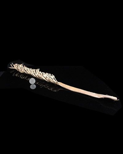 Vibrant Coco Whirl bird toy, crafted from 100% natural materials, measuring about 21 inches long with a textured design.