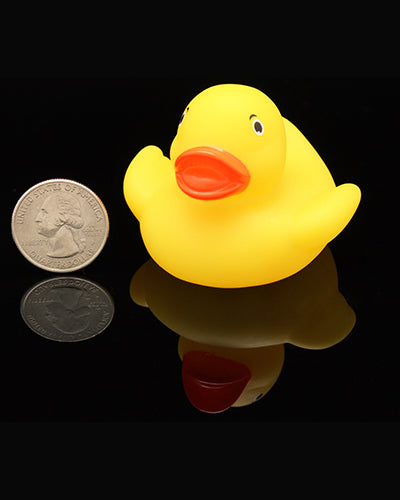 Charming 2-inch rubber duck toy in vibrant assorted colors, perfect for play or decor, measuring 2.5 inches long.