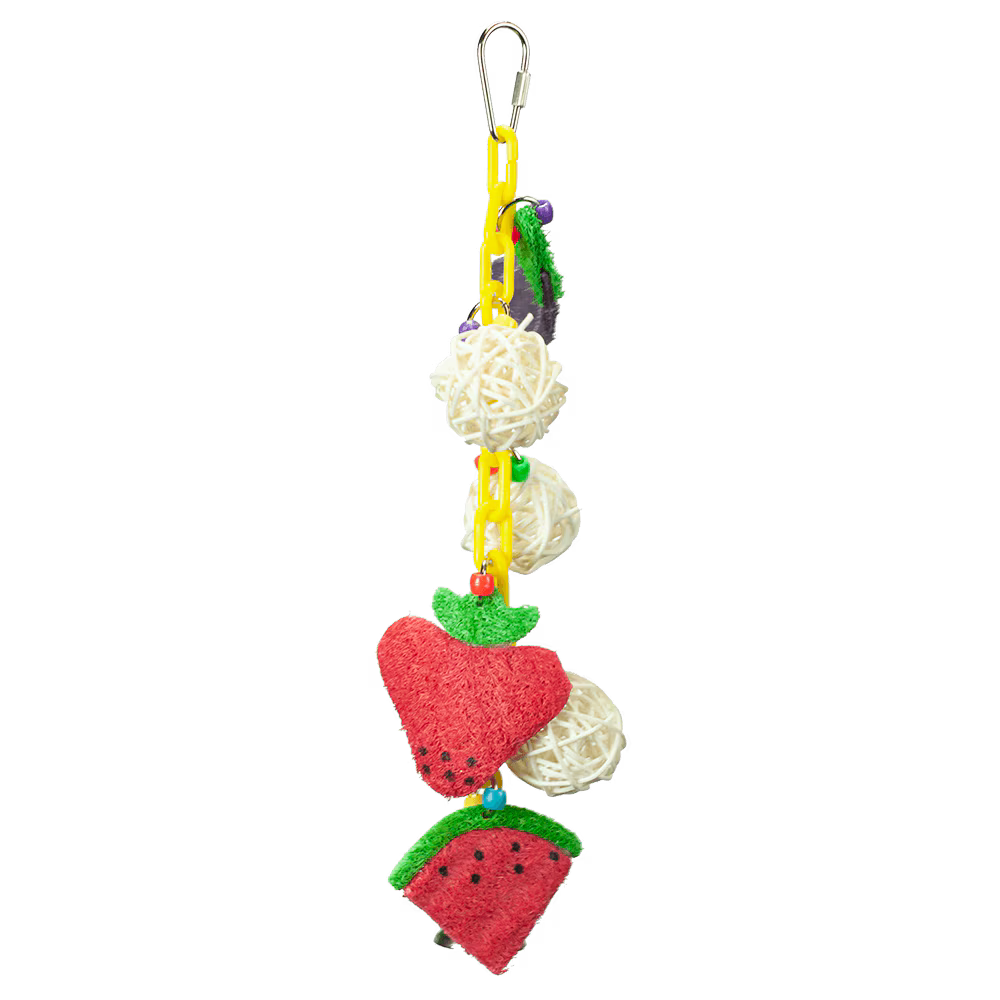 Colorful bird toy featuring vine balls, loofah fruits, and veggies dangling from a sturdy plastic chain for playful foraging.