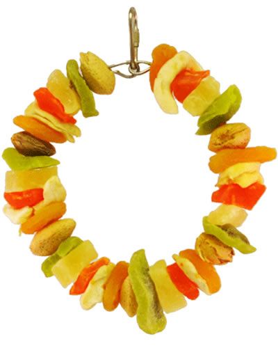 Vibrant Happy Beaks Fruit & Almond Ring toy, featuring colorful dried fruits and almonds strung on a 6-inch ring for birds.
