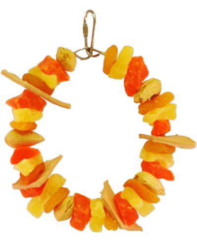 Vibrant Happy Beaks Fruit & Leather Ring toy with almonds, papaya, pineapple, apricot, and leather on a 6-inch ring for birds.