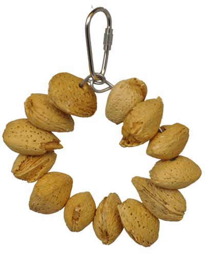 Colorful Happy Beaks Small Almond Ring toy, a 4-inch treat for medium to large birds, packed with engaging almonds to peck.