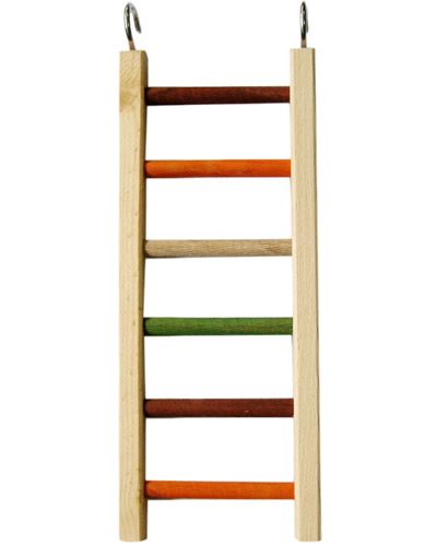 Colorful 14" Bird Ladder with sturdy wooden steps, perfect for small birds to climb and play in their cage for fun and exercise.
