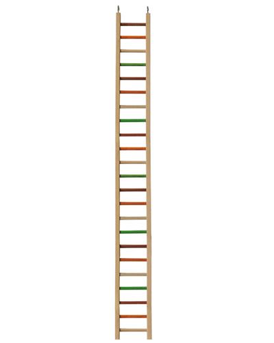 Colorful 49" bird ladder with sturdy steps, perfect for small birds to climb, play, and stay active in their cage.