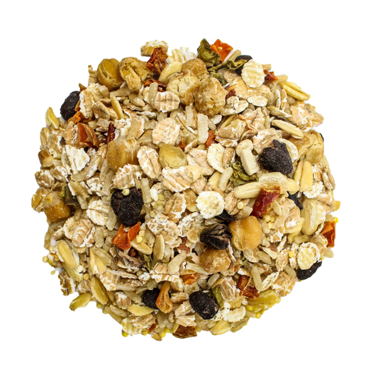 Bean Bistro Feast on the Fly Bird Street Bistro