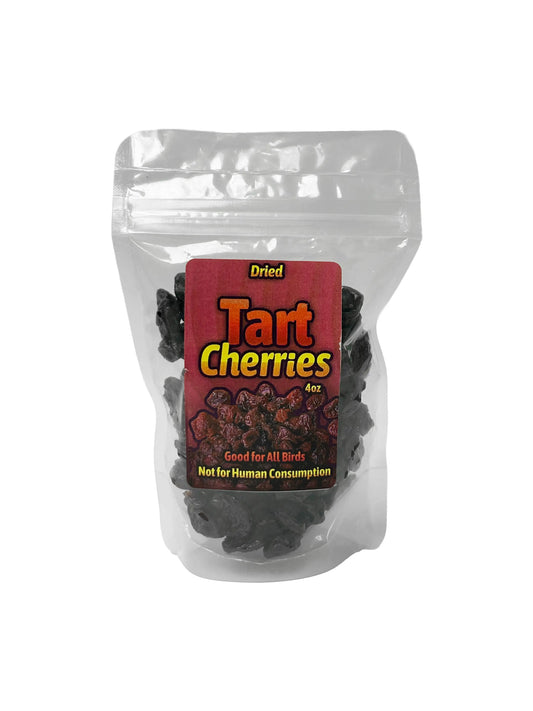Dried Tart Cherries 4oz MyBirdStore.com
