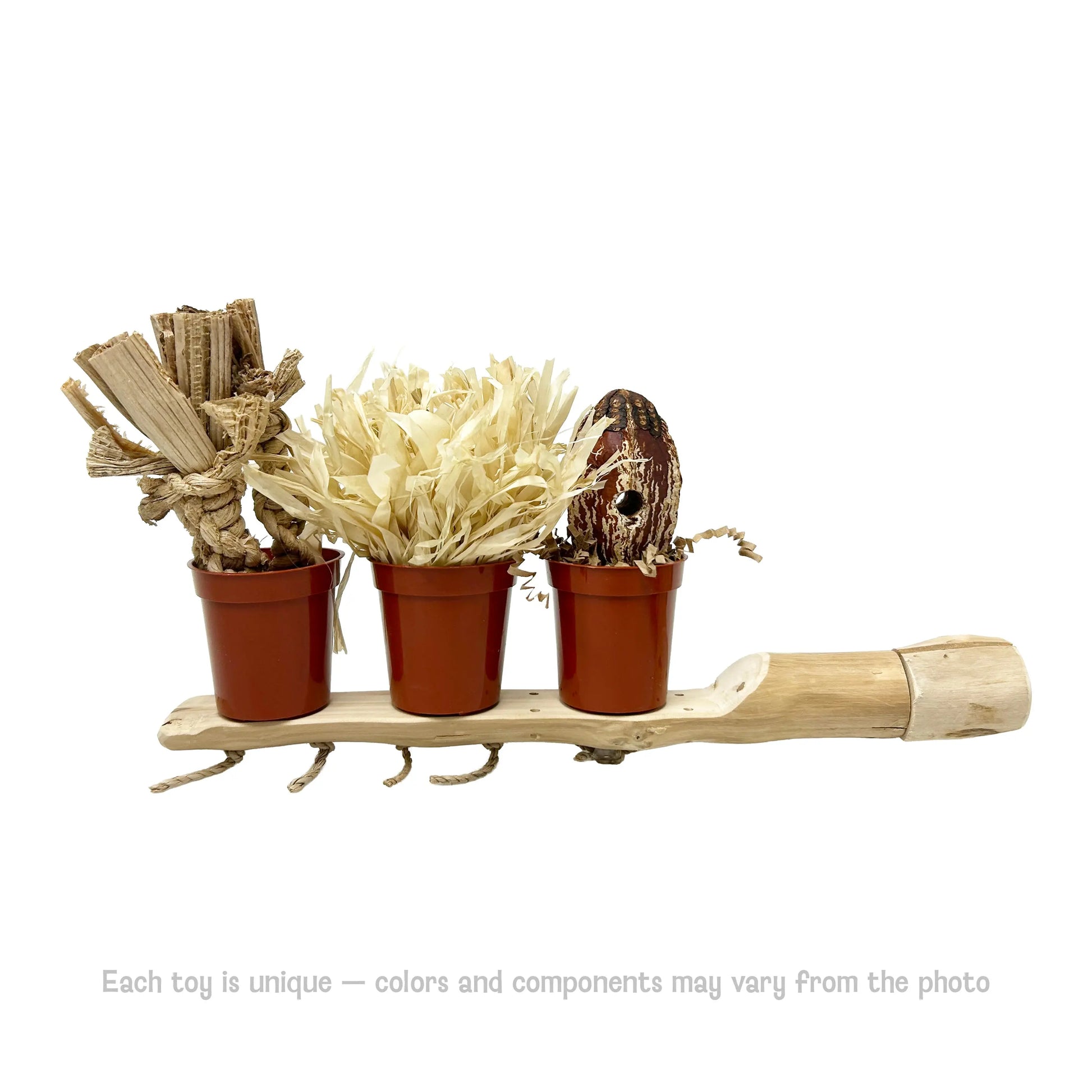 Bunch O Buckets Java Wood Foraging Perch - Interactive Bird Toy MyBirdStore.com