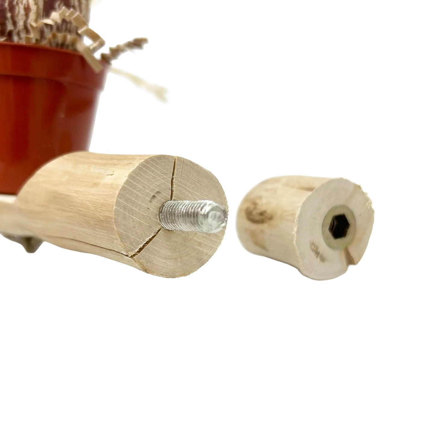 Bunch O Buckets Java Wood Foraging Perch - Interactive Bird Toy MyBirdStore.com