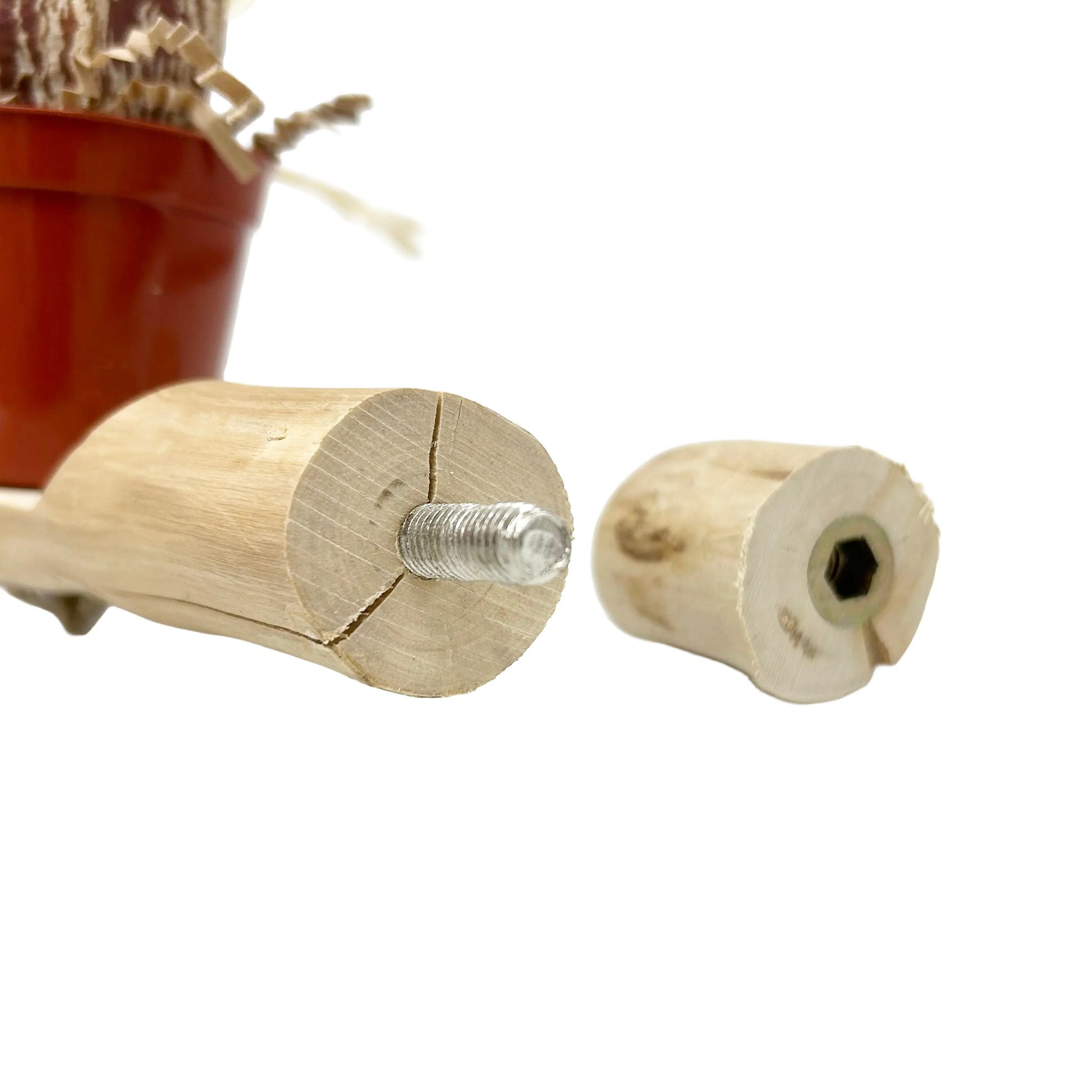 Bunch O Buckets Java Wood Foraging Perch - Interactive Bird Toy MyBirdStore.com