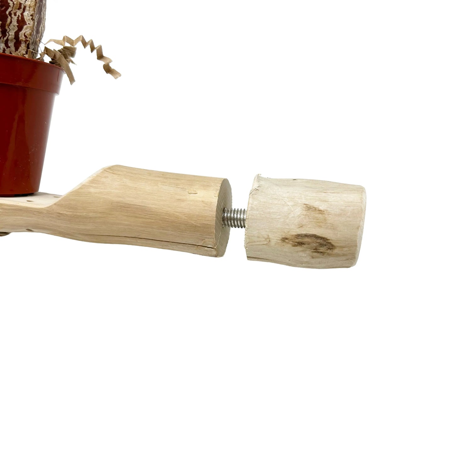 Bunch O Buckets Java Wood Foraging Perch - Interactive Bird Toy MyBirdStore.com