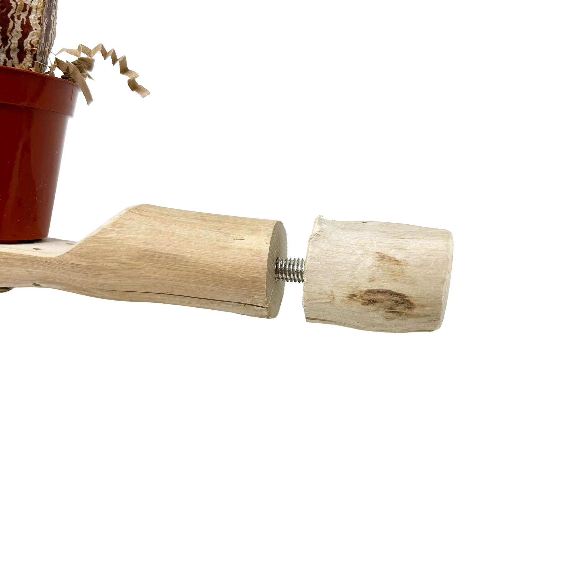 Bunch O Buckets Java Wood Foraging Perch - Interactive Bird Toy MyBirdStore.com