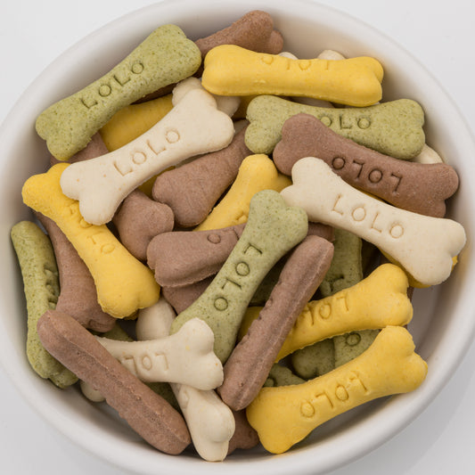 LoLo Bone Shaped Biscuit - Assorted Flavors - MEDIUM (Stand Up Pouch)