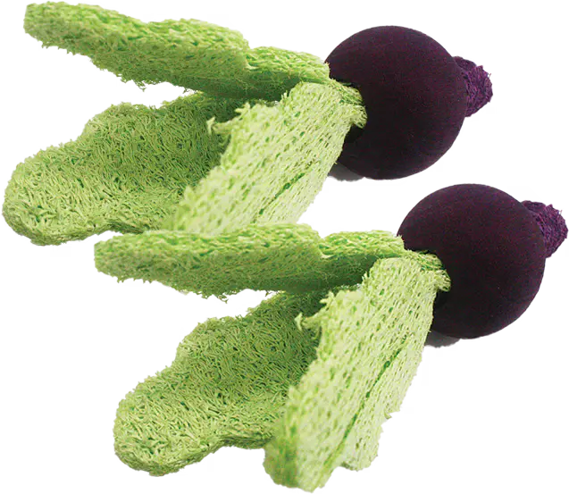 Loofah Turnips A&E Cage Co