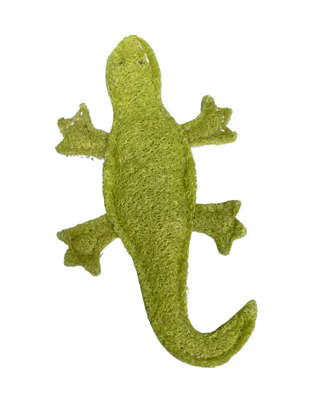 Gecko A&E Cage Co