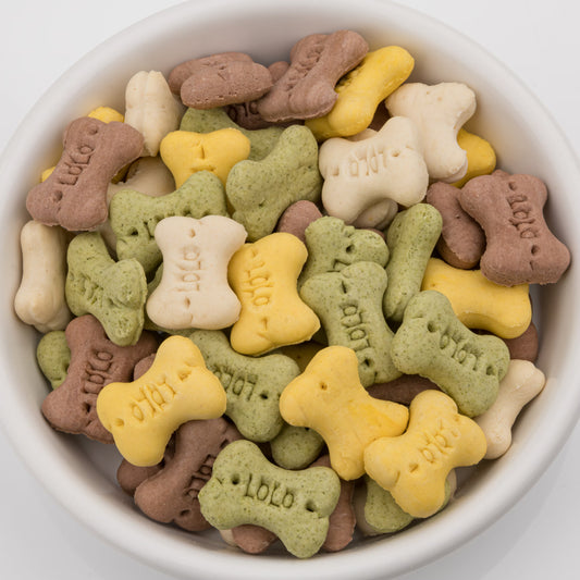 LoLo Bone Shaped Biscuit - Assorted Flavors - SMALL (Jar)