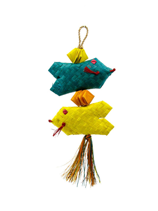Vibrant Tropical Fish Mini swimming gracefully in a clear aquarium, showcasing bright colors and delicate fins.