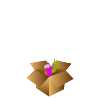 Small Bird
