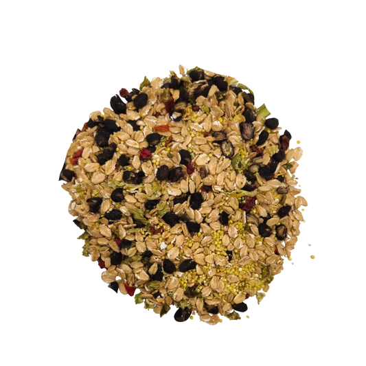 Cajun Bean - Feast on the Fly Bird Street Bistro