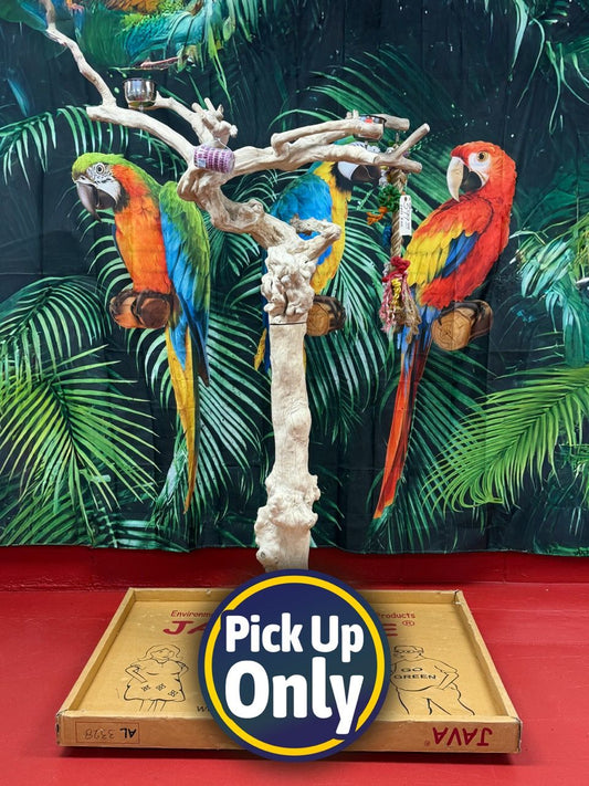 Natural Java Tree Bird Stand with anti-slip perch, toy hooks, and stainless steel bowls, ideal for large parrots.