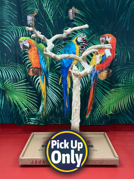 Natural Java Tree Bird Stand with anti-slip perch, toy hooks, and stainless steel bowls, ideal for medium to large birds.