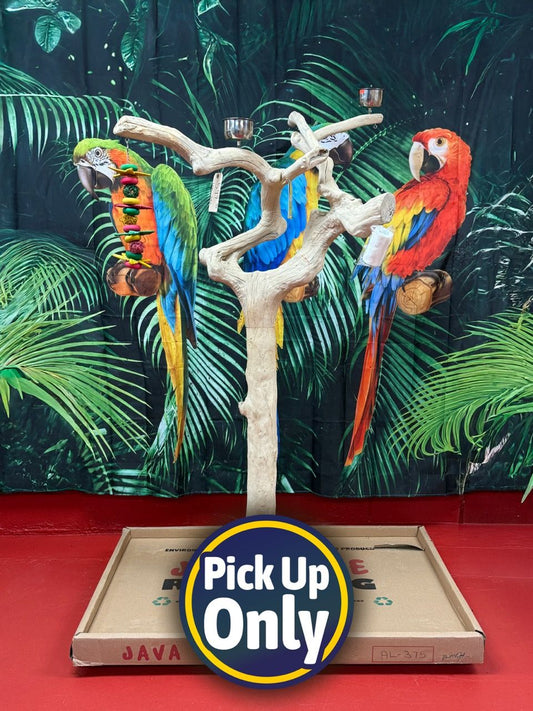 Natural Java Tree Bird Stand with anti-slip perch, toy hooks, and stainless steel bowls for medium to large birds.