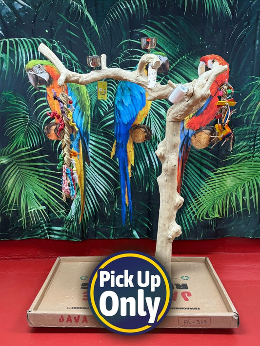 Natural Java Tree Bird Stand with anti-slip perch, toy hooks, and stainless steel bowls, ideal for medium to large birds.