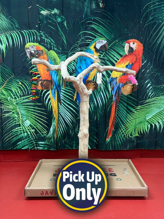 Natural Java Tree Bird Stand with anti-slip perch, toy hooks, and steel bowls, ideal for medium to large exotic parrots.