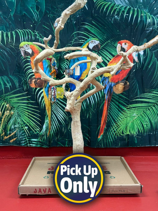 Natural Java Tree Bird Stand with anti-slip perch, toy hooks, and stainless steel bowls, ideal for medium to large birds.