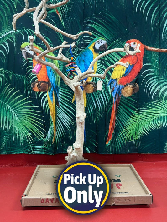 Natural Java Tree Bird Stand with anti-slip perch, toy hooks, and stainless steel bowls, ideal for medium to large birds.