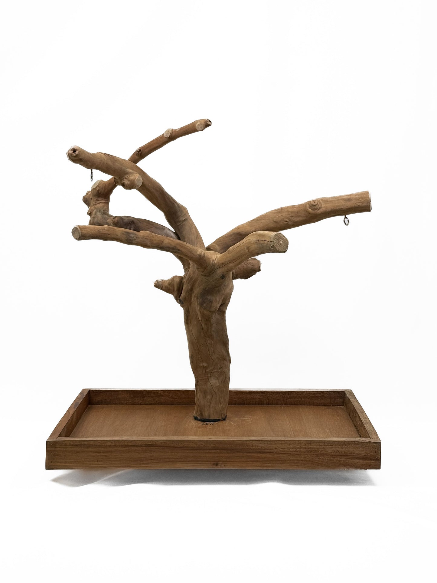 Tabletop Java Tree Activity Play Stand
