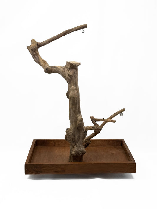 Natural Java Coffee Tree play stand for small to medium birds, featuring a sturdy 25-inch tall wooden design with a wide base.