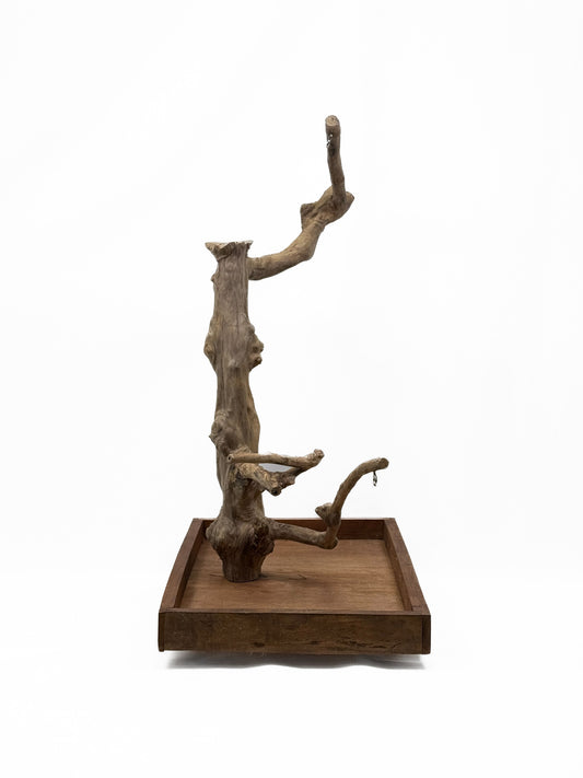 Natural Java Coffee Tree play stand for small to medium birds, showcasing a sturdy 25-inch tall, eco-friendly design.