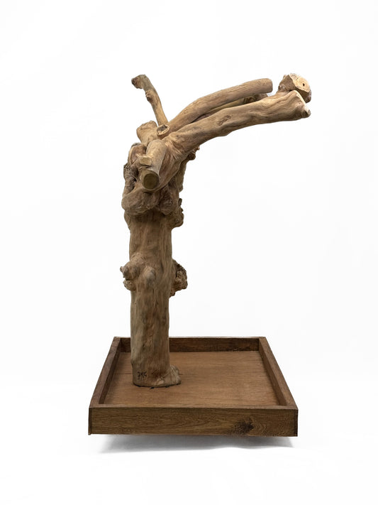 Natural Java Coffee Tree play stand for small to medium birds, featuring a sturdy 25-inch tall design with a wide base.