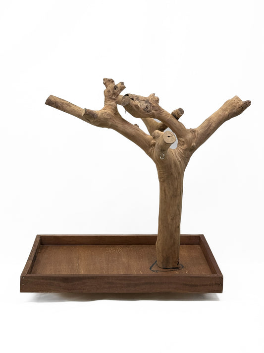 Natural Java Coffee Tree play stand for small to medium birds, featuring a sturdy 25-inch tall design with a wide base.