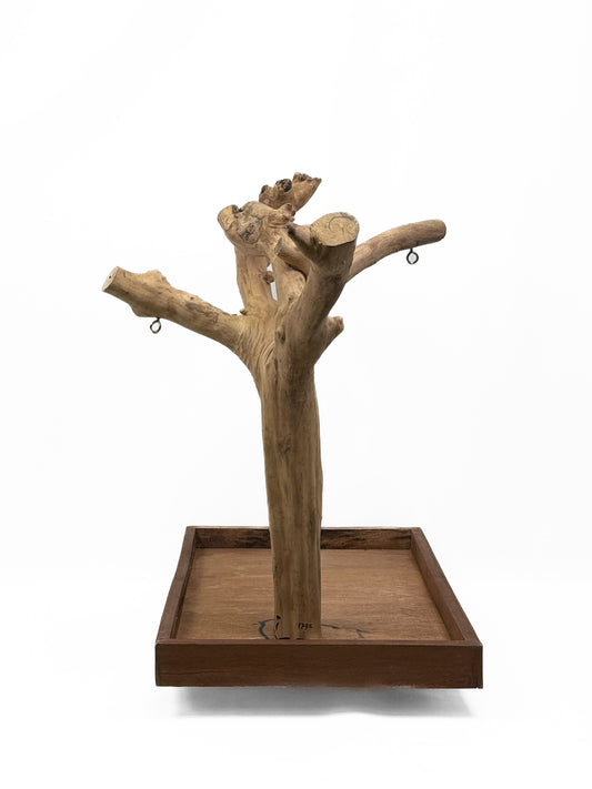 Natural Java Tree play stand for small to medium birds, featuring a rustic, eco-friendly wooden design with a sturdy base.