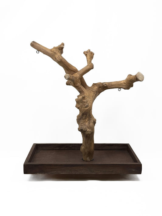Natural Java Tree play stand for small to medium birds, featuring a sturdy 25-inch tall wooden design with a wide base.