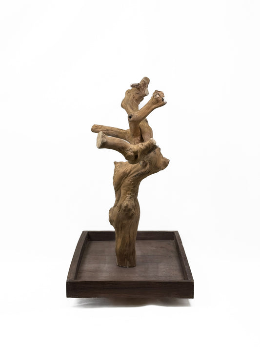 Natural Java Tree play stand for small to medium birds, featuring a sturdy 25-inch tall wooden design with a wide base.