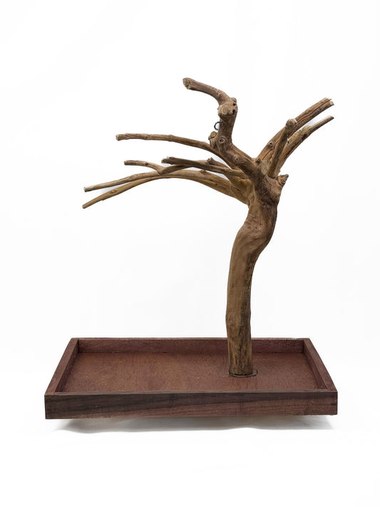 Natural Java Coffee Tree play stand for small to medium birds, featuring a sturdy 25-inch tall design with a wide base.