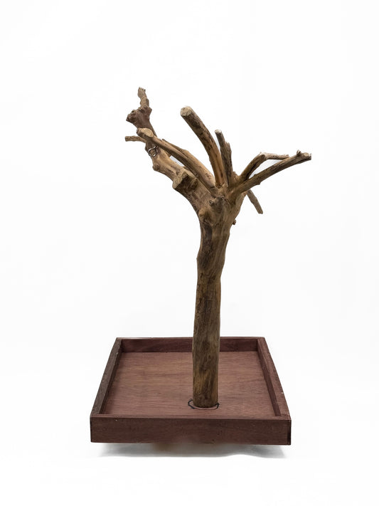 Natural Java Coffee Tree play stand for small to medium birds, featuring a sturdy 25-inch tall design with a wide base.